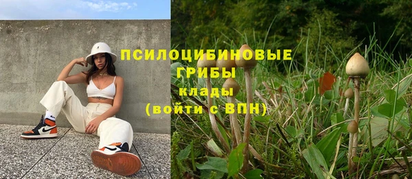 шишки Вяземский