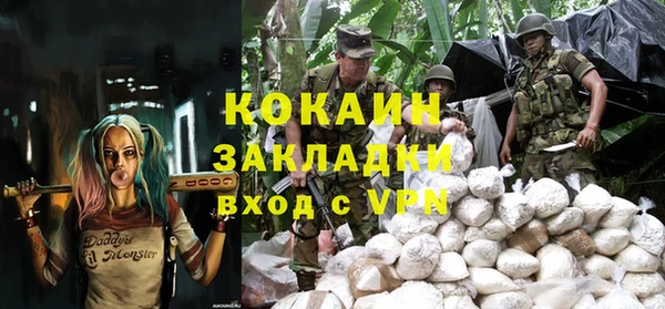 шишки Вяземский