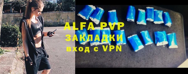 шишки Вяземский