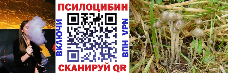 ОМГ ОМГ вход  Давлеканово  Галлюциногенные грибы Magic Shrooms  купить наркотик 